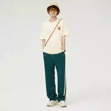 HEISU T