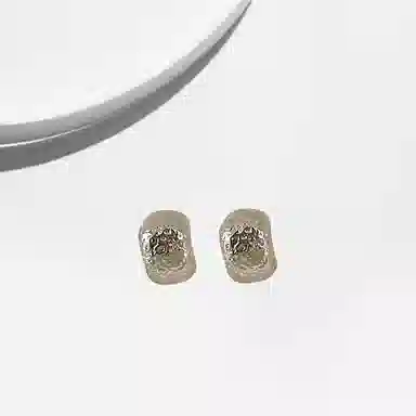 大唐国鼎 磨砂肌理 小众设计气质轻奢高级感 甜美个性设计感复古 辣妹日常通勤 合金 耳钉 女款