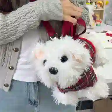 WHEELY BABY+