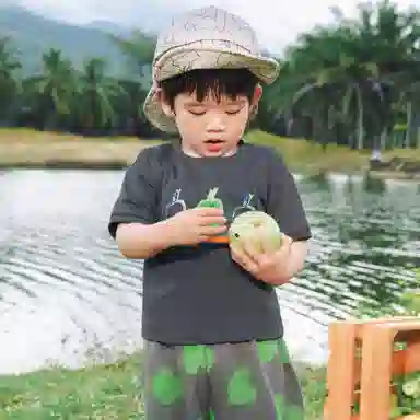 mini bala T