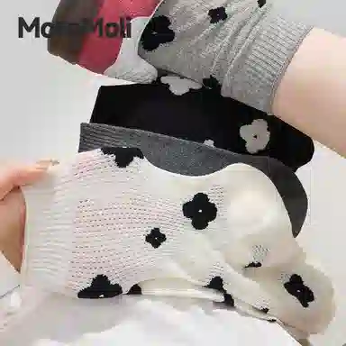 moremoli 3
