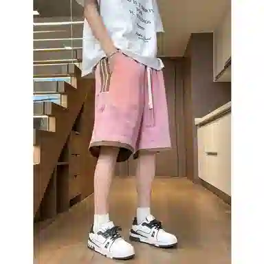 红蜻蜓 美式复古高街设计感多巴胺经典高级舒适宽松百搭日常通勤潮流时尚简约直筒运动健身五分休闲短裤 男女同款