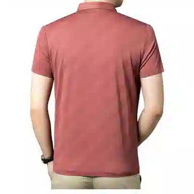 PIERRE CARDIN Polo