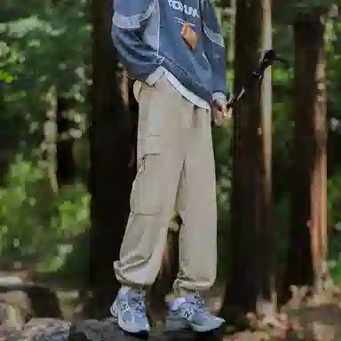 Pierre Cardin Casual Pants