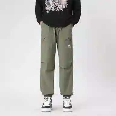 Pierre Cardin Casual Pants