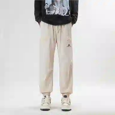 Pierre Cardin Casual Pants