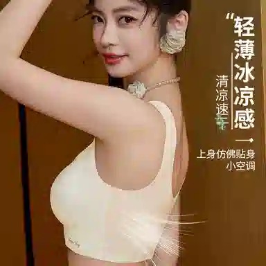 俞兆林 薄款无钢圈上托聚拢防下垂收副乳不跑杯文胸 女款 组合装