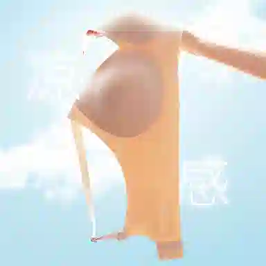 俞兆林 无钢圈不跑杯上托无痕聚拢防下垂收副乳薄款文胸 女款 组合装