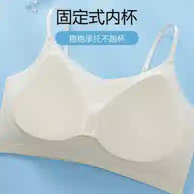 俞兆林 美背无钢圈聚拢舒适上托防下垂收副乳文胸 女款 组合装