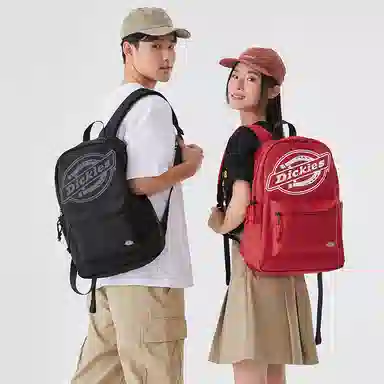 Dickies Backpack Khaki