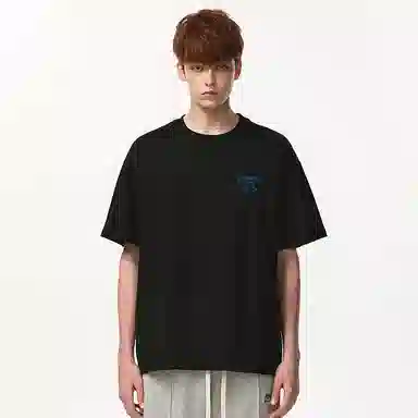 fdragon T