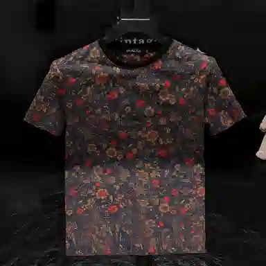 fdragon T