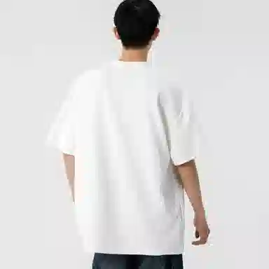 fdragon T