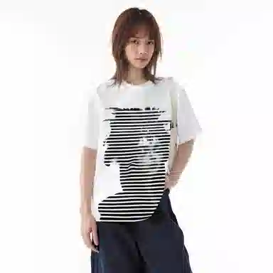 fdragon T