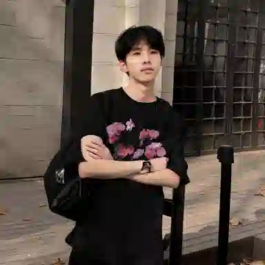 fdragon T