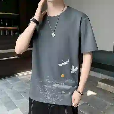 fdragon T