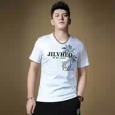 fdragon T