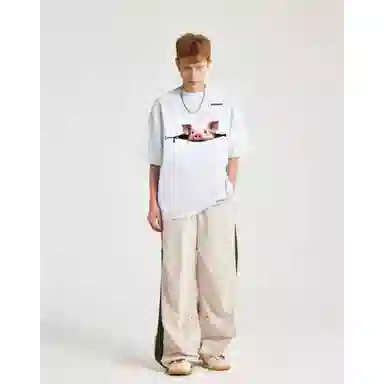 fdragon insT