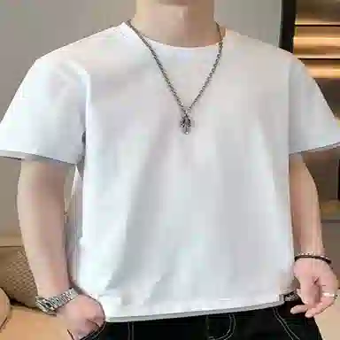 fdragon insT