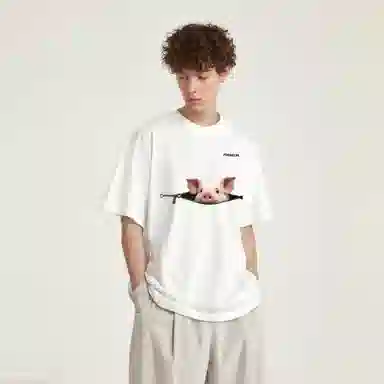 fdragon insT