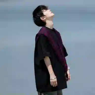 fdragon T