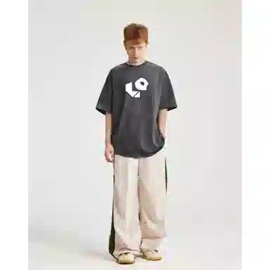 fdragon T