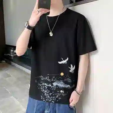 fdragon T