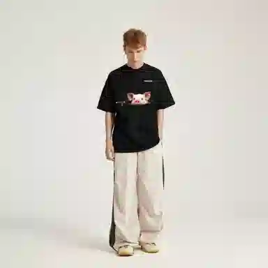 fdragon insT