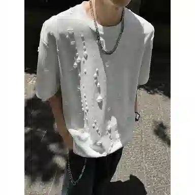fdragon T