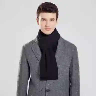 【礼赠保暖佳品】 啄木鸟 【精装】时尚百搭英伦风围脖秋冬季加厚保暖防寒含羊毛针织 围巾 男女同款情侣款
