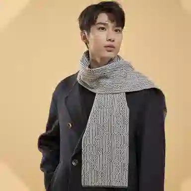 啄木鸟 欧美时尚纯羊毛秋冬季加厚保暖防风商务休闲围脖新款韩式条纹高档脖套精装 绒线围巾 男款