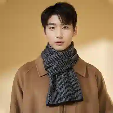 啄木鸟 欧美时尚纯羊毛秋冬季加厚保暖防风商务休闲围脖新款韩式条纹高档脖套精装 绒线围巾 男款