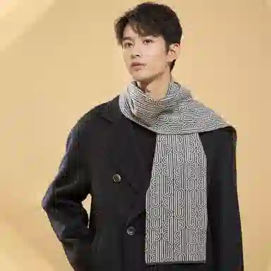 啄木鸟 欧美时尚纯羊毛秋冬季加厚保暖防风商务休闲围脖新款韩式条纹高档脖套精装 绒线围巾 男款
