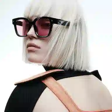 THE OWNER Sunglasses