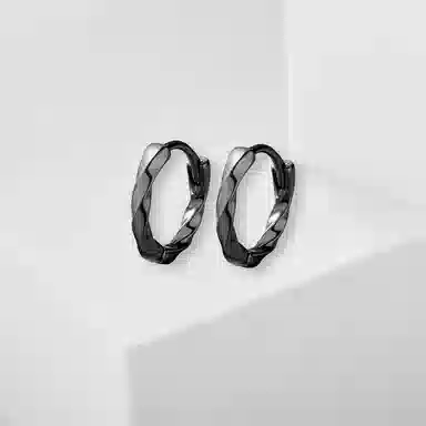 JOYDINNY S925 Silver Earrings