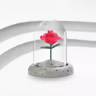 JOYDINNY