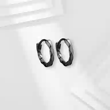 JOYDINNY S925 Silver Earrings