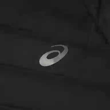 ASICS Lightweight Down Jacket Men