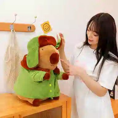 ZHUOQU 28cm38cm50cm