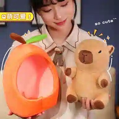 20cm30cm
