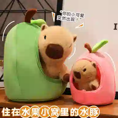 20cm30cm