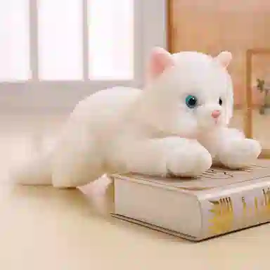ZHUOQU