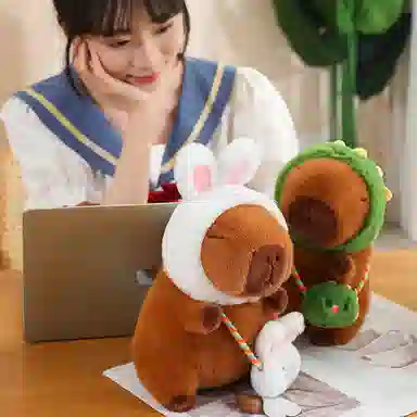 25cm35cm50cm