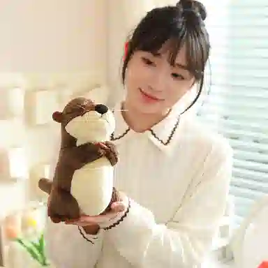 15cm20cm35cm50cm