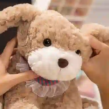 25cm