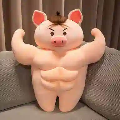 ZHUOQU 55cm70cm