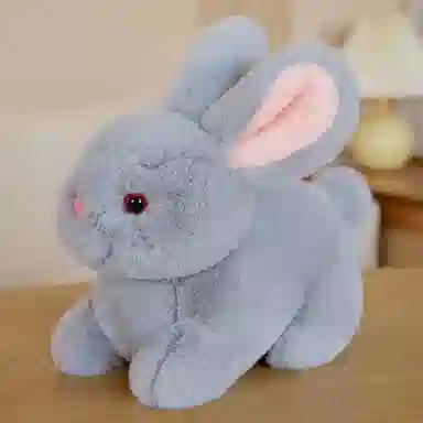 ZHUOQU 15cm20cm30cm