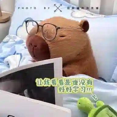 23cm35cm45cm55cm90cm