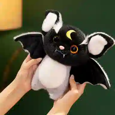 25cm