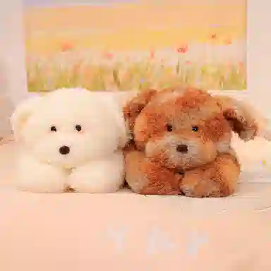 55cm75cm95cm